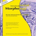 INTERNACIONAL JOURNAL OF MORPHOLOGY