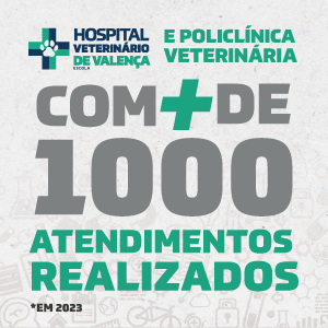 Hospital veterinário de Valença e policlínica veterinária com mais de 1000 atendimentos realizados